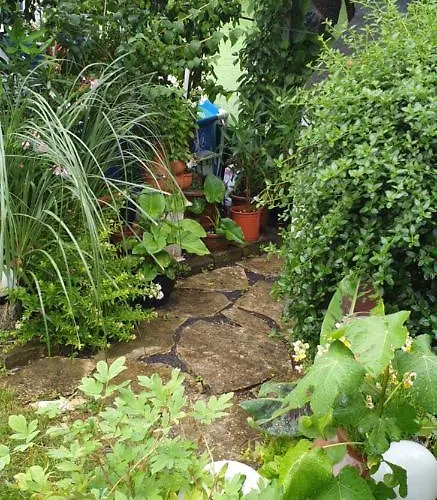 Apartment Gemuetliche Im Einfamilienhaus *